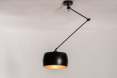Lumidora Hanglamp 31174 - AMBER - E27 - Zwart - Metaal - ⌀ 32 cm