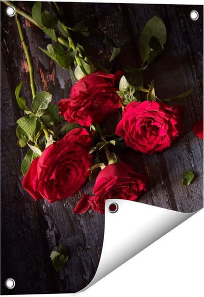Gards Tuinposter Rode Rozen op de Grond - 40x50 cm - Tuindoek - Tuindecoratie - Wanddecoratie buiten - Tuinschilderij
