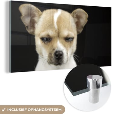 MuchoWow® Glasschilderij 40x20 cm - Schilderij acrylglas - Hond - Huisdieren - Portret - Foto op glas - Schilderijen