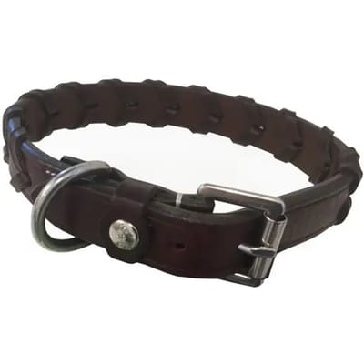 Hondenhalsband Silver Crown Bredie