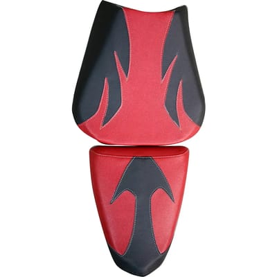 Motorzadelhoes Bagster rsv 1000 r / factory