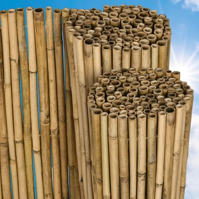 Sol Royal B38 – Balkonscherm Bamboe 140x250cm – Duurzaam & Weerbestendig – 100% Bamboe Privacyscherm Tuin
