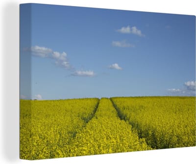 Canvas schilderij 150x100 cm - Wanddecoratie Veld met nog te oogsten mosterdzaad onder een blauwe hemel - Muurdecoratie woonkamer - Slaapkamer decoratie - Kamer accessoires - Schilderijen