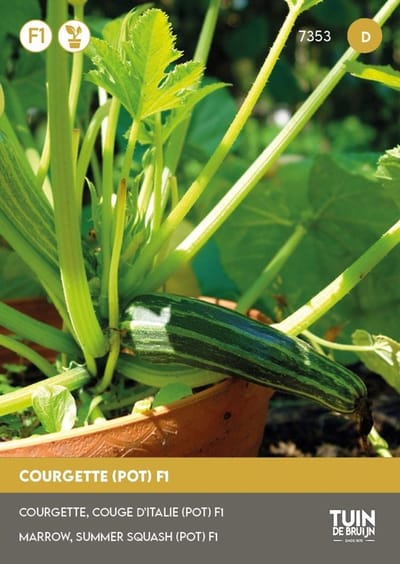 Tuin de Bruijn® zaden - Courgette Patio Star F1 - telen in grote potten - zeer smakelijke kleine courgette-vruchten