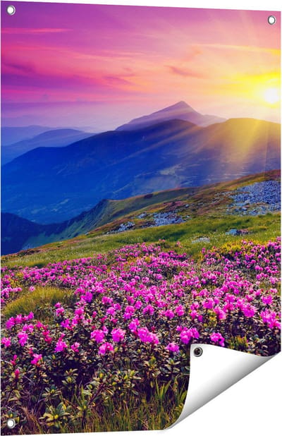 Gards Tuinposter Roze Rhododendron Bloemenveld - Bergen - 60x80 cm - Tuindoek - Tuindecoratie - Wanddecoratie buiten - Tuinschilderij