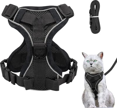 Lexium Kattenharnas - Kattentuigje met looplijn - Katten harnas - Kattenharnas met leiband - Kattenharnas met looplijn - Kattenlijn - Kattentuig