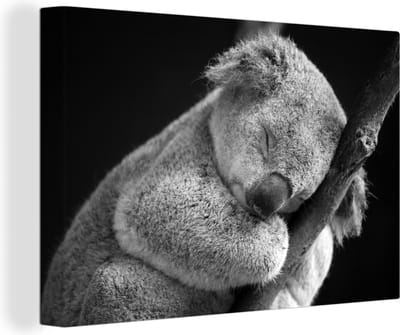 Canvas Schilderij Koala - Tak - Zwart - Kids- Jongens - Meisjes - 30x20 cm - Wanddecoratie