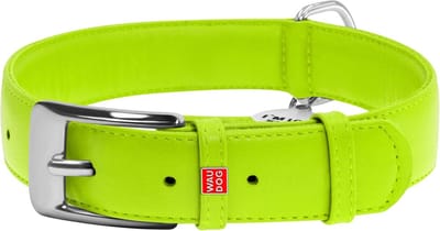 WAUDOG Glamour Halsband / Hondenhalsband - Echt Leder - Groen - XL - Breedte: 35 mm - Nekomtrek: 46 - 60 cm (GELIEVE ALVORENS BESTELLEN OPMETEN)