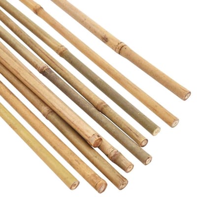 Ferrarium 25 stuks 61cm bamboestokken 8/10mm - bamboe stokken - bamboostokken - tonkinstokken - grote bamboestokken - bamboestok groot - bamboestokken groot - tonkinstokken - moestuinstokken - opbindstokken - boontjes opbinden
