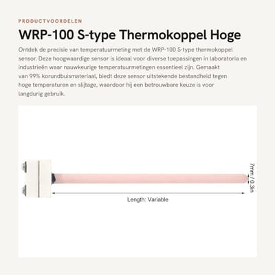 Dailygoods- Thermokoppel Platinum/Rhodium - Temperatuursensor - Hittebestendig - 150mm - Hoge Nauwkeurigheid - Duurzaam Materiaal