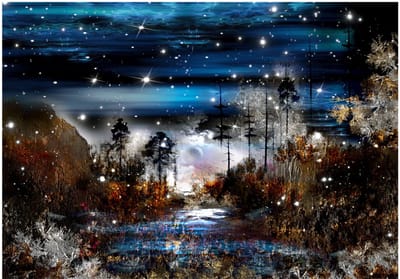 Fotobehangkoning - Behang - Vliesbehang - Fotobehang Nacht in het Bos - Night in the forest - 150 x 105 cm