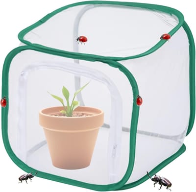 Gaasafdekking voor planten, inklapbaar plantenbeschermingsnet, opvouwbare bescherming met vliegenbescherming voor fruit, groenten, bloemen, broeikas