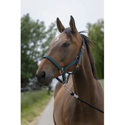 Satijnen paardenhalster Norton