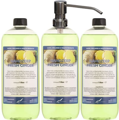 Handzeep Fresh Ginger 1 liter - set van 3 stuks - met gratis RVS zilverkleurige pomp - Voordeelverpakking