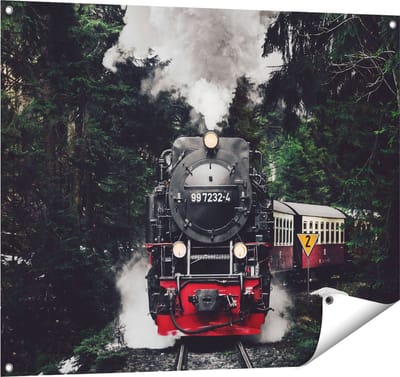 Gards Tuinposter Locomotief in de Bossen met Stoom Wolken - 100x80 cm - Tuindoek - Tuindecoratie - Wanddecoratie buiten - Tuinschilderij