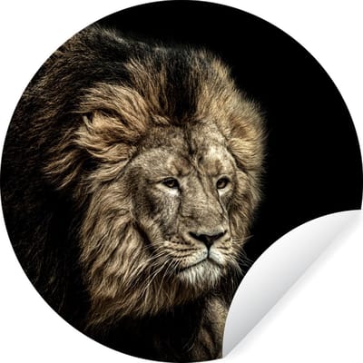 WallCircle - Muurstickers - Behangcirkel - Leeuw - Dieren - Zwart - ⌀ 30 cm - Muurcirkel - Zelfklevend - Ronde Behangsticker