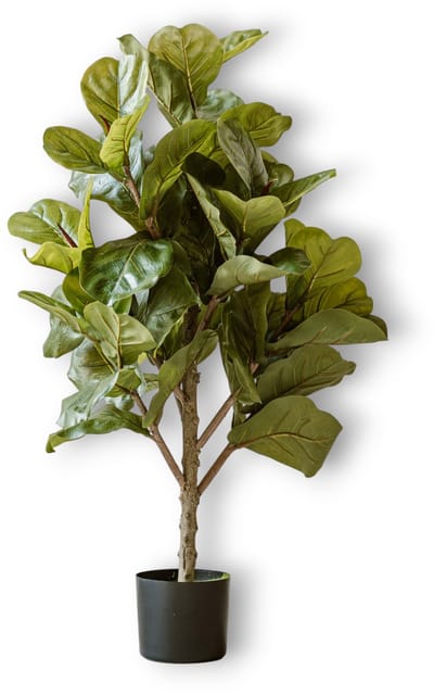 Kunstplant Vijg 90 cm – Indore Silva – Ficus – Compacte Kunst Kamerplant – Onderhoudsvrij