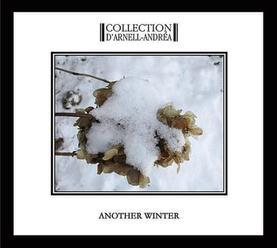 Another Winter (Digi)