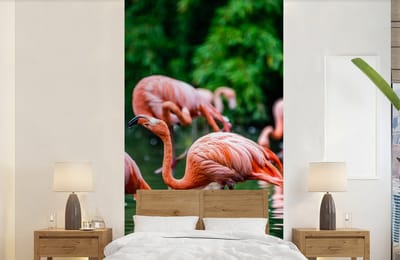 Behang - Fotobehang Flamingo - Tropisch - Vogel - Water - Roze - Breedte 120 cm x hoogte 240 cm