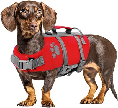 Honden Reddingsvest - Zwemvest Hond - Wateractiviteiten Veilig - Met Handgreep - Maat Medium - Rood