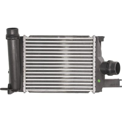 Intercooler THERMOTEC DAR004TT