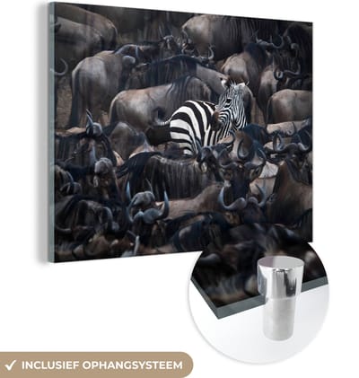 MuchoWow® Glasschilderij 160x120 cm - Schilderij acrylglas - Zebra - Buffels - Bruin - Foto op glas - Schilderijen