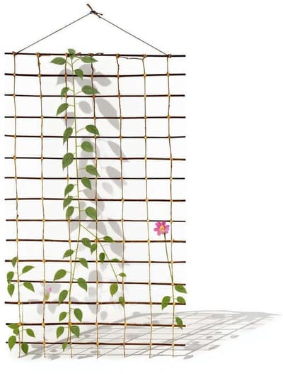 be4nature Klimrek Wilgenteen 150 x 100 cm – Groot vlechtwerk voor klimplanten en tuin