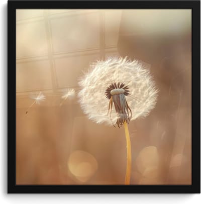 Poster in lijst - Fotolijst 40x40 cm - Posters - Paardenbloem - Beige - Natuur - Bloem - Posterlijst zwart - Decoratie - Wanddecoratie woonkamer - Muurdecoratie slaapkamer