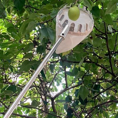 Fruitplukker Telescopisch - Fruitverzamelaar Lange Steel - Fruit Oogsten - Verstelbare Lengte - Tot 10 Meter - Geel