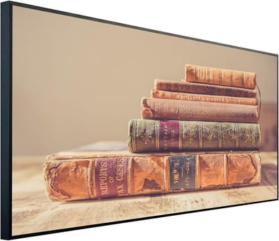 Infrarood Paneel Verwarming met Afbeelding 750W (60x100cm) - Directe Warmte voor Kleine Ruimtes