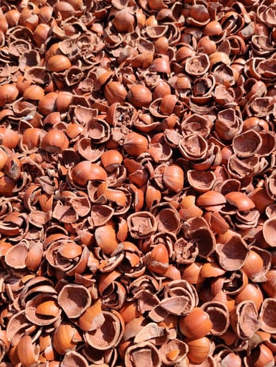 Hazelnootdoppen - Nocciolo - 40 liter - Bodembedekker - Alternatief cacaodoppen - Boomschors - Houtsnippers - Langere levensduur