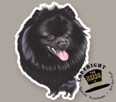 Magneet Hond Mittelspitz