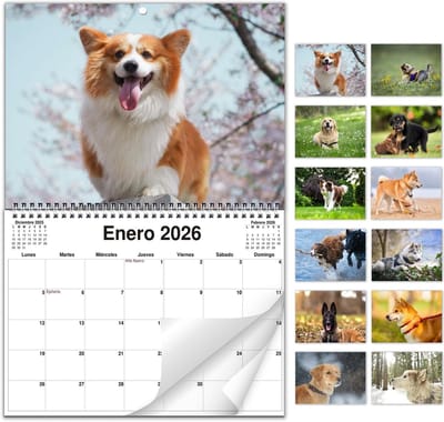 Wandkalender A3 2026 met Foto's van Schattige Honden - Jaarkalender voor Planning en Organisatie