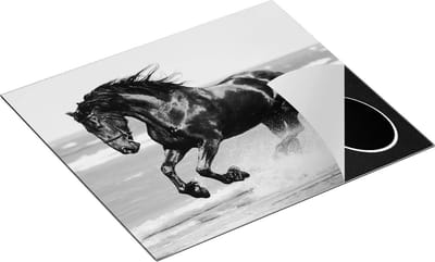 Chefcare Inductie Beschermer Zwart Paard in het Water - Zwart Wit - 60x50 cm - Afdekplaat Inductie - Kookplaat Beschermer - Inductie Mat
