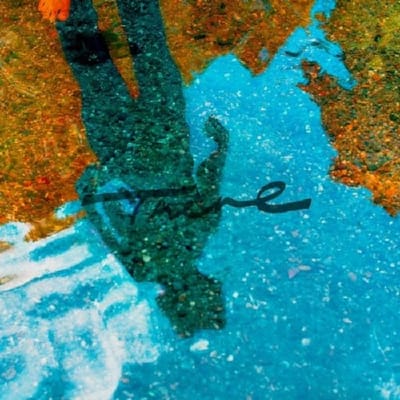 The Fin - There (CD)