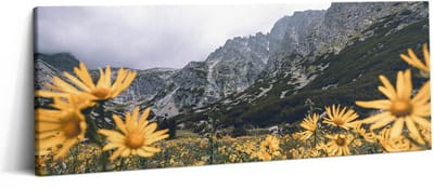 Wallfluent Foto Op Canvas Weidebloemen in het Tatragebergte - 125 x 50 cm - Geel Schilderij Canvas - Landschappen Canvas Doek Foto - Natuur Schilderij Doek - Landschappen Schilderijen Op Canvas Doek