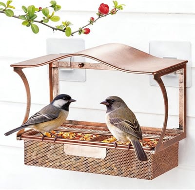 Voederhuisje voor vogels met 4 sterke zuignappen, roestbestendig en ideaal voor tuin en balkon, lokt wilde vogels aan
