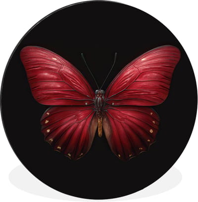 WallCircle - Wandcirkel - Muurcirkel - Vlinder - Rood - Minimalistisch - Aluminium - Dibond - 30x30 cm - Binnen en Buiten