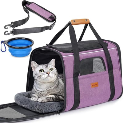 Huisdier Draagtas - Reismand Hond Kat - Veilig Vervoer - Ademend Gaas - 44 cm - Paars