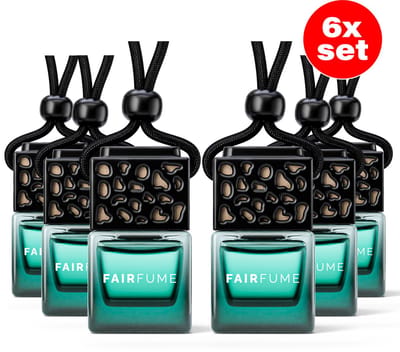Fairfume® - Auto Parfum no.163 – Geïnspireerd op Lady Millionaire - Designer Parfum - Auto Geurverfrisser - Autoaccessoires – Parfum Voor Dames - Cadeau Vrouw – (6x Set)