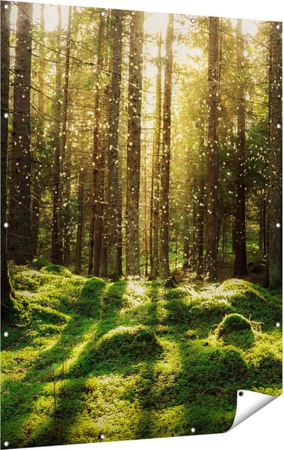 Gards Tuinposter Bos met Groen Mos op de Grond - 120x160 cm - Tuindoek - Tuindecoratie - Wanddecoratie buiten - Tuinschilderij