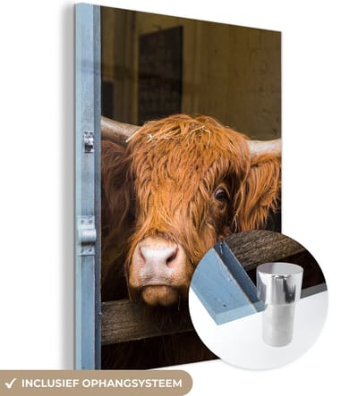 MuchoWow® Glasschilderij 120x160 cm - Schilderij acrylglas - Schotse Hooglander - Boerderij - Schuur - Foto op glas - Schilderijen