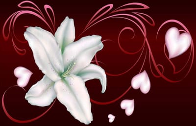 Fotobehang Lily Heart Abstract | DEUR - 211cm x 90cm | 130g/m2 Vlies