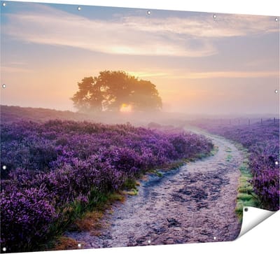 Gards Tuinposter Pad in de Weide van de Veluwe - 160x120 cm - Tuindoek - Tuindecoratie - Wanddecoratie buiten - Tuinschilderij
