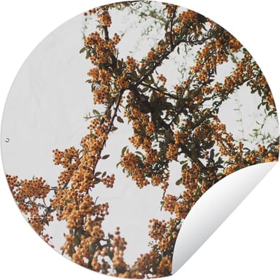 Tuincirkel Bloemen - Takken - Natuur - 60x60 cm - Ronde Tuinposter - Buiten