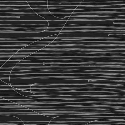 Oneida - Absolute II (LP)