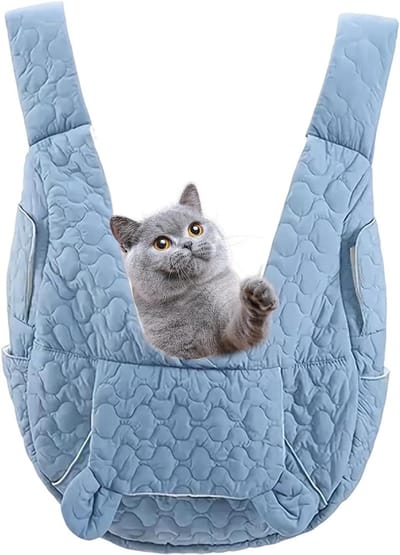 Huisdier Rugdrager - Draagbare Tas - Outdoor Avonturen - Ademend Ontwerp - 35x26x9 cm - Saffier