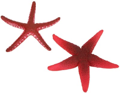 SPHProducts - Lichtgevende zeester - Decoratieve aquariumaccessoire - Veilig en niet-toxisch - Milieuvriendelijk - Perfect voor aquariums - Nachtelijke...
