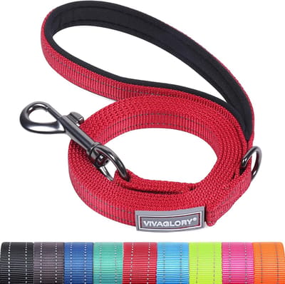 Hond Leash met Gevoerde Handgreep - Zware Reflecterende Nylon Training Leash voor Kleine en Grote Honden