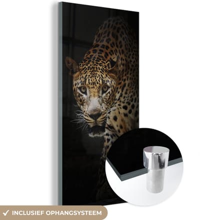 MuchoWow® Glasschilderij 20x40 cm - Schilderij acrylglas - Luipaard - Wilde dieren - Licht - Foto op glas - Schilderijen